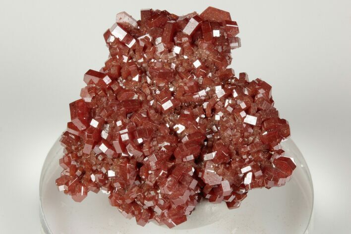 Lustrous, Ruby Red Vanadinite Crystal Cluster - Morocco #196364